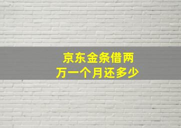 京东金条借两万一个月还多少