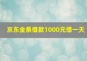 京东金条借款1000元借一天