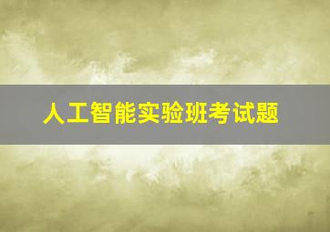 人工智能实验班考试题