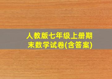 人教版七年级上册期末数学试卷(含答案)