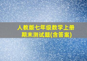 人教版七年级数学上册期末测试题(含答案)