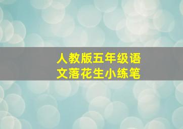 人教版五年级语文落花生小练笔