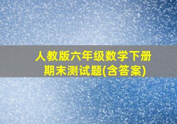 人教版六年级数学下册期末测试题(含答案)