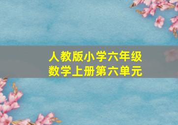 人教版小学六年级数学上册第六单元