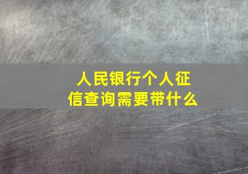 人民银行个人征信查询需要带什么