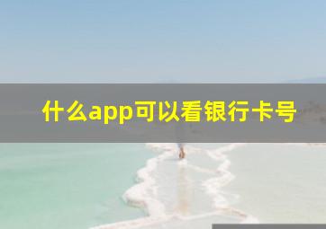 什么app可以看银行卡号