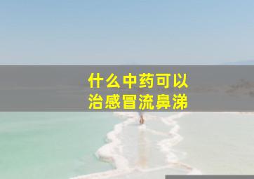 什么中药可以治感冒流鼻涕