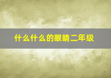 什么什么的眼睛二年级