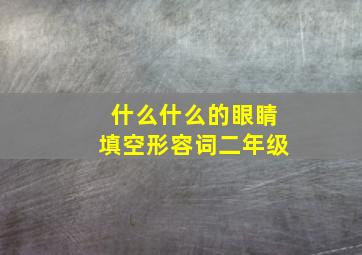 什么什么的眼睛填空形容词二年级