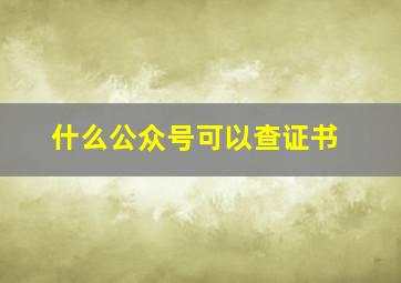 什么公众号可以查证书