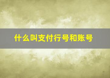 什么叫支付行号和账号