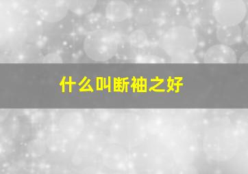 什么叫断袖之好