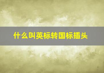 什么叫英标转国标插头