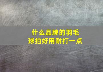 什么品牌的羽毛球拍好用耐打一点