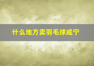 什么地方卖羽毛球咸宁