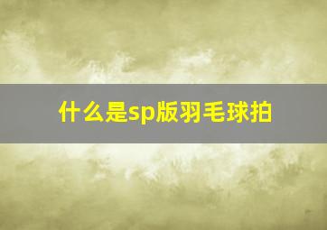 什么是sp版羽毛球拍