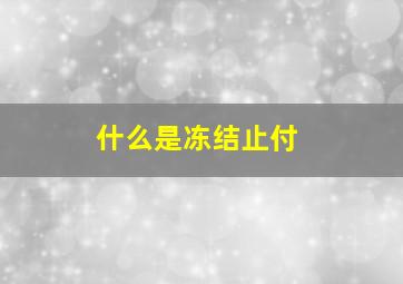 什么是冻结止付