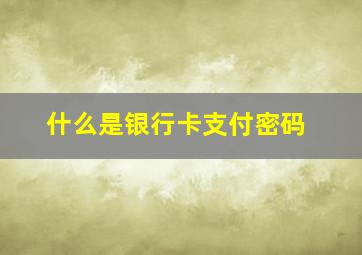 什么是银行卡支付密码