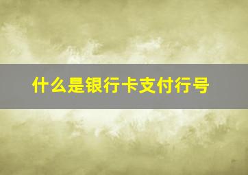 什么是银行卡支付行号