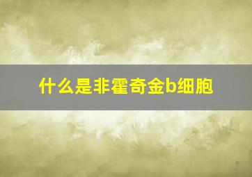 什么是非霍奇金b细胞