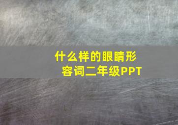 什么样的眼睛形容词二年级PPT