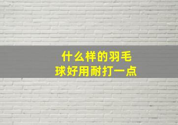 什么样的羽毛球好用耐打一点