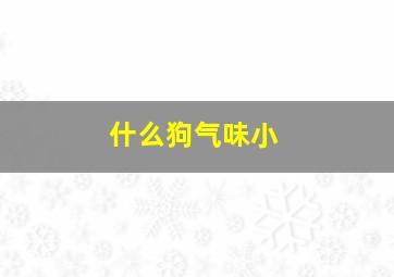 什么狗气味小