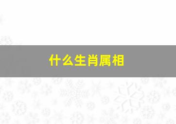 什么生肖属相