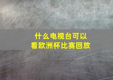 什么电视台可以看欧洲杯比赛回放