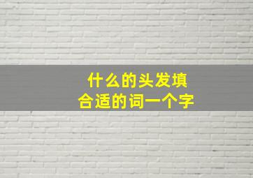 什么的头发填合适的词一个字