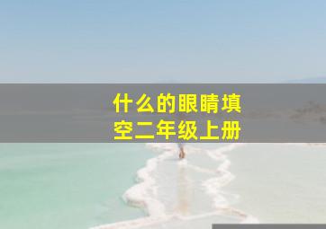 什么的眼睛填空二年级上册