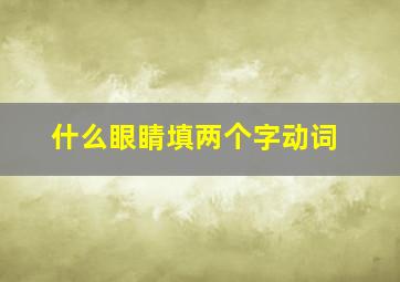 什么眼睛填两个字动词