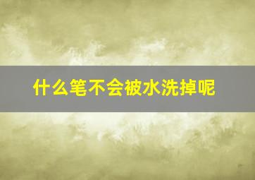 什么笔不会被水洗掉呢