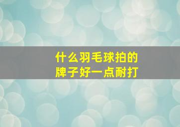 什么羽毛球拍的牌子好一点耐打