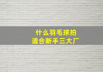 什么羽毛球拍适合新手三大厂