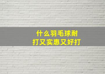 什么羽毛球耐打又实惠又好打