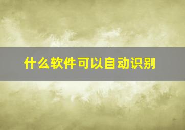 什么软件可以自动识别