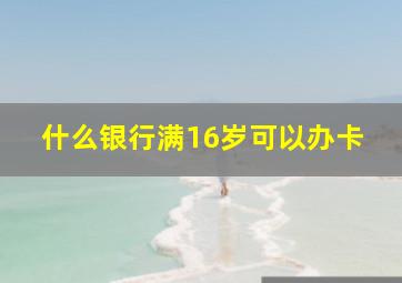 什么银行满16岁可以办卡