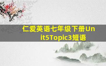 仁爱英语七年级下册Unit5Topic3短语