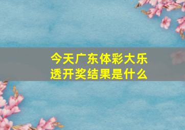 今天广东体彩大乐透开奖结果是什么