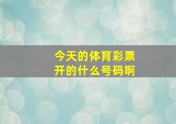 今天的体育彩票开的什么号码啊