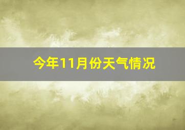 今年11月份天气情况