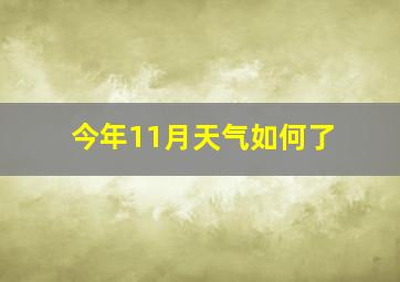 今年11月天气如何了