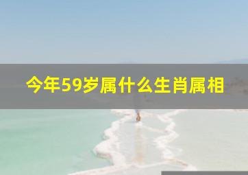 今年59岁属什么生肖属相