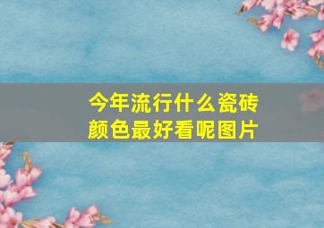 今年流行什么瓷砖颜色最好看呢图片