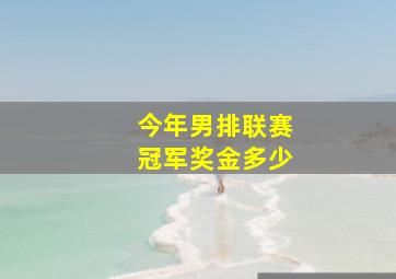 今年男排联赛冠军奖金多少