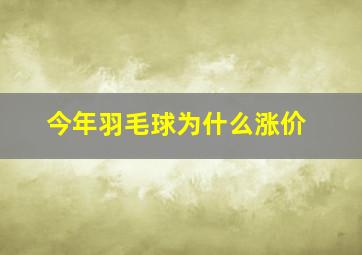 今年羽毛球为什么涨价