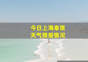 今日上海奉贤天气预报情况