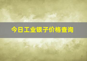 今日工业银子价格查询