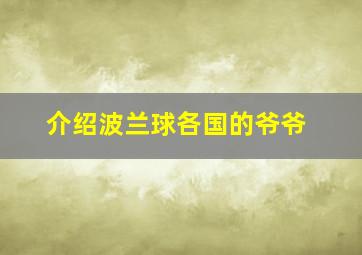 介绍波兰球各国的爷爷